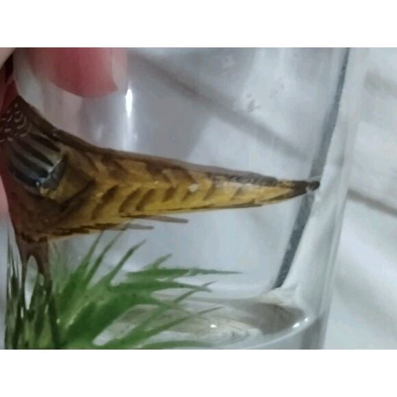 3-D Glass Shotglass - Pheasant Bird Shot Glass - Picture 7 of 7